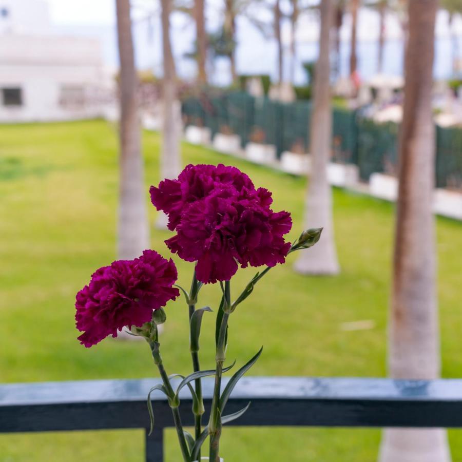 Studio Ocean Coast Los Cristianos Comodoro المظهر الخارجي الصورة